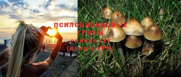 а пвп мука Абдулино